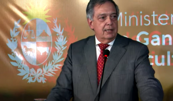 Mattos: Gobierno prioriza recuperaci�n del empleo y de la actividad econ�mica