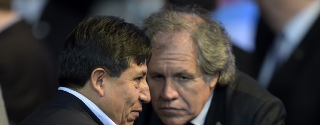 Almagro: "El Mercosur no es para blanditos ni para llorones y se juega duro"