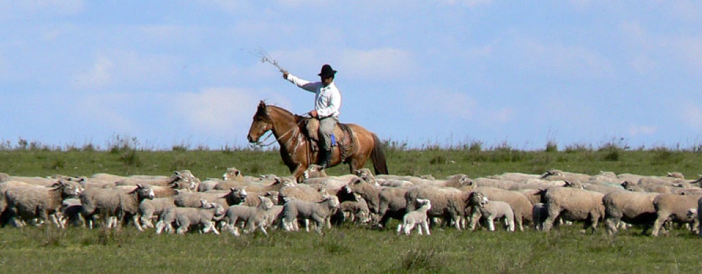 Federacin Rural desea suerte al prximo Gobierno y pide fortalecer "los pilares bsicos de la sociedad"