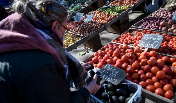 El precio del tomate se "desplomar�" en un plazo m�ximo de 10 d�as