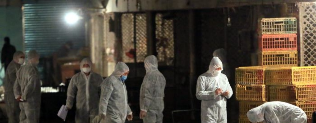 Volvi� la gripe aviar a China, mas de 25 personas en observaci�n
