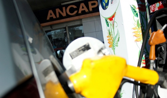 Precio de los combustibles se mantiene